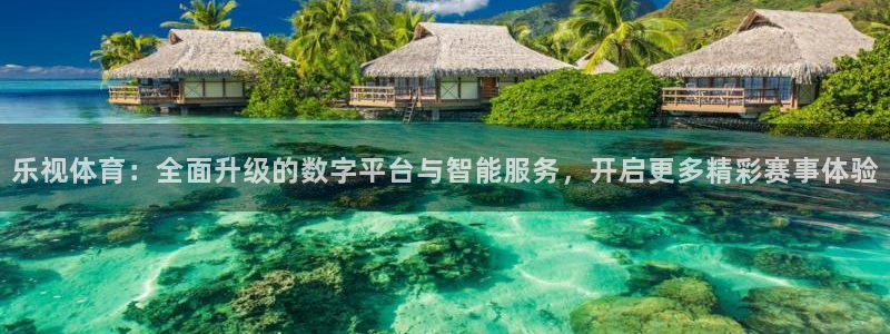乐视体育：全面升级的数字平台与智能服务，开启更多精彩赛事体验