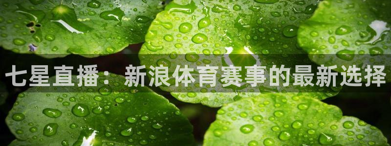 七星直播：新浪体育赛事的最新选择