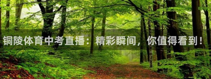 铜陵体育中考直播：精彩瞬间，你值得看到！