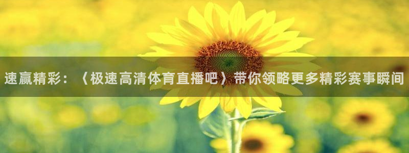 速赢精彩：〈极速高清体育直播吧〉带你领略更多精彩赛事瞬间