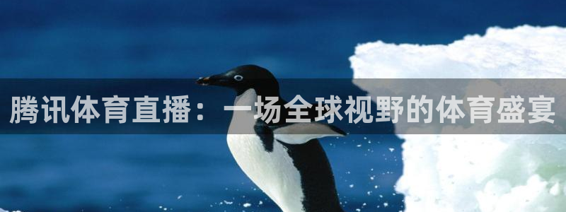 腾讯体育直播：一场全球视野的体育盛宴